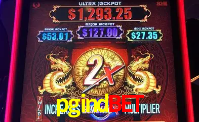 Descubra o Mundo do Cassino Online com pgindbet