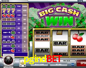 Desvendando o Mundo dos Jogos Virtuais na pgindbet